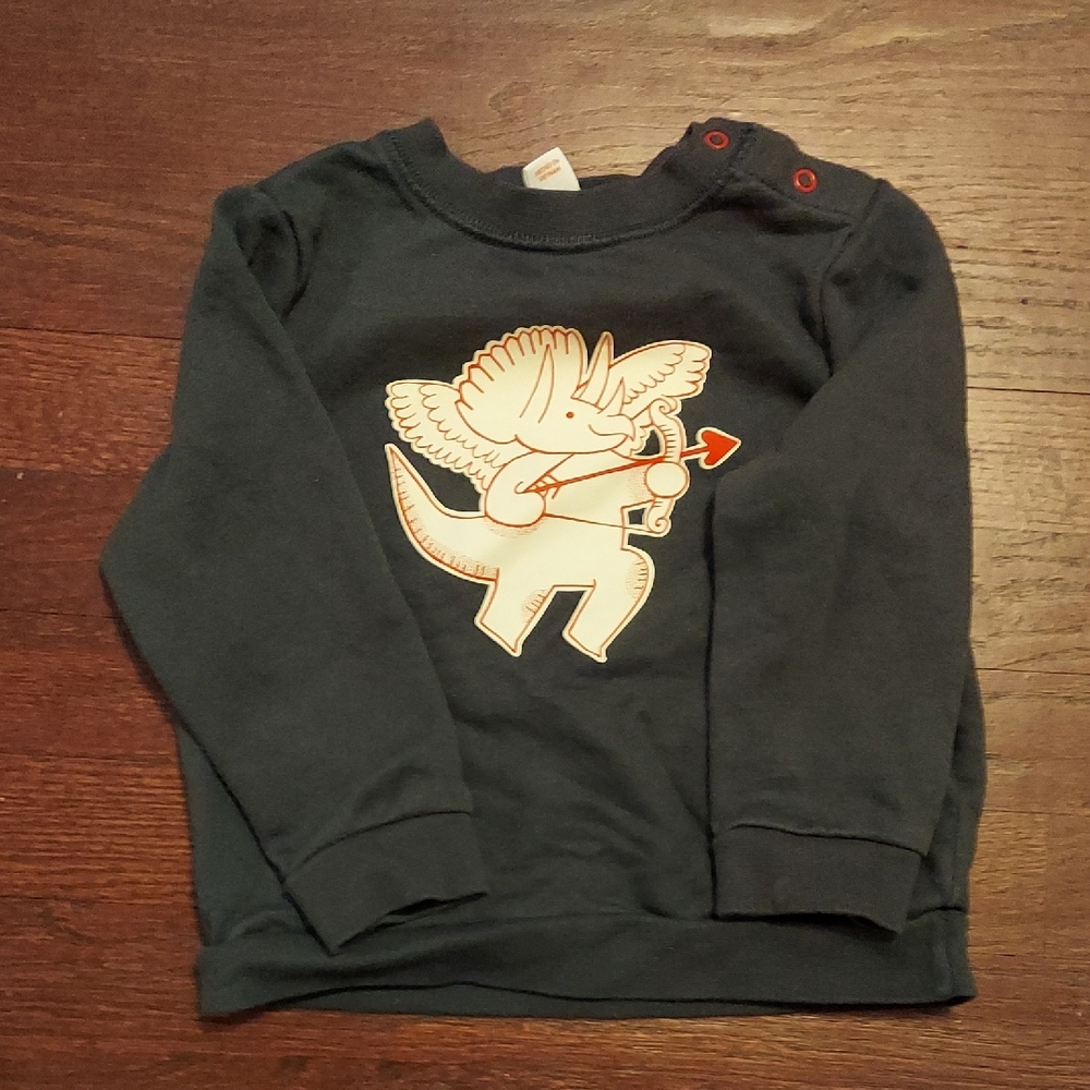Kids Grey Dinosaur Graphic Sweatshirt